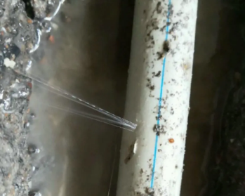 新罗卫生间测漏水多少钱